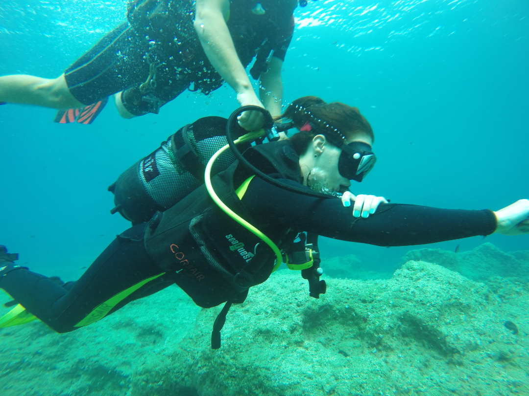 diving malta