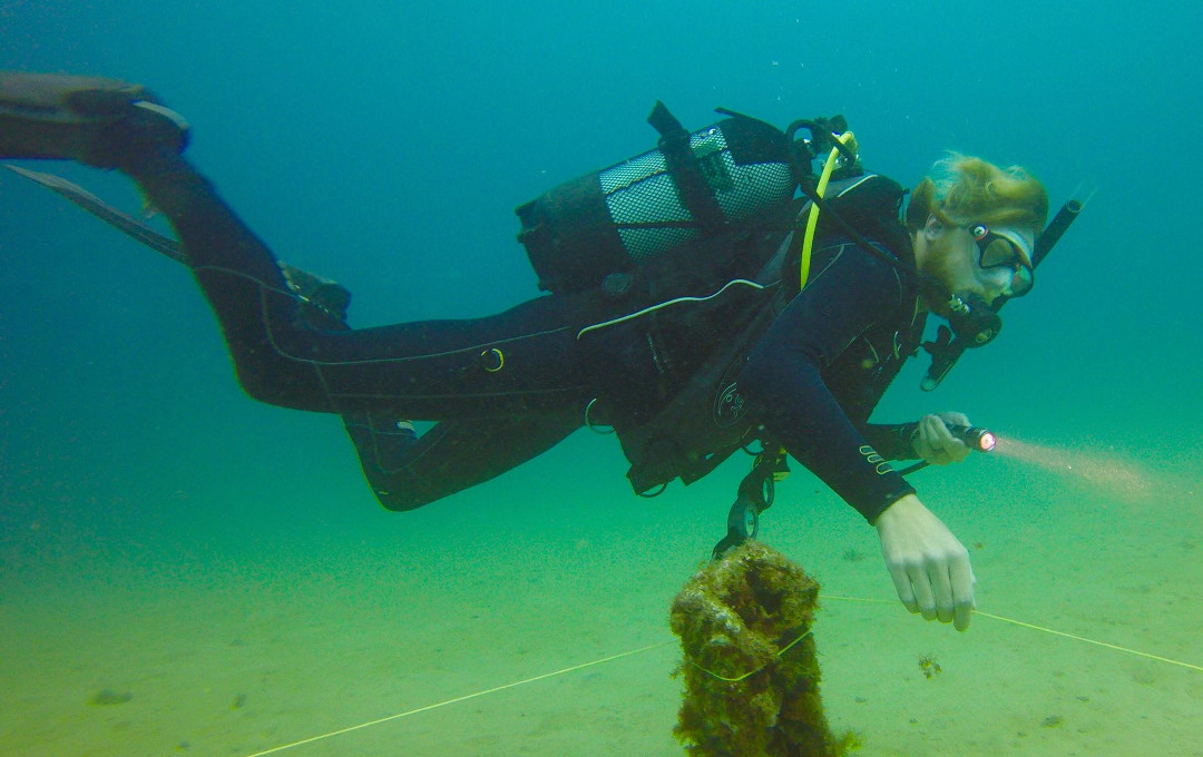 Guided Diving photo